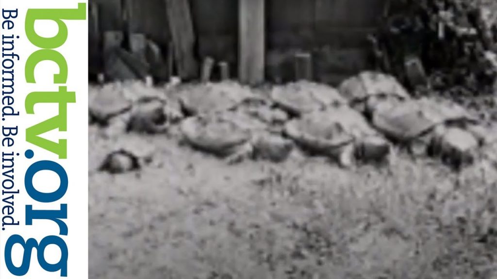 Art Archives Continued 11-25-20