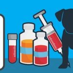 Should you Vaccinate Your Dog Against Leptospirosis?
