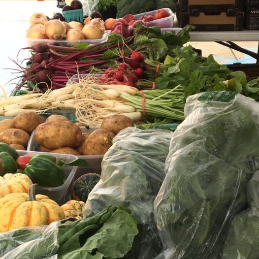 Community Forum: Urban Farmer Markets & Community Development