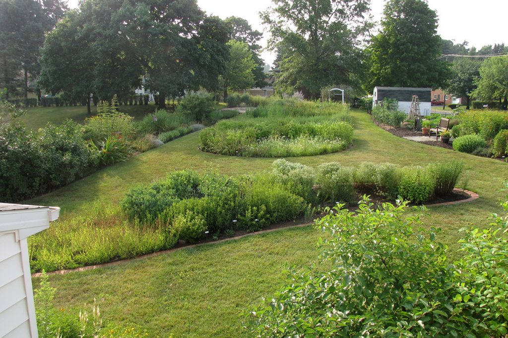 Master Watershed Stewards Hosting Public Riparian Buffer Planting