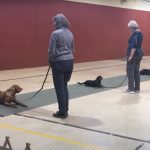 Berks County Dog Training Club 4-6-21