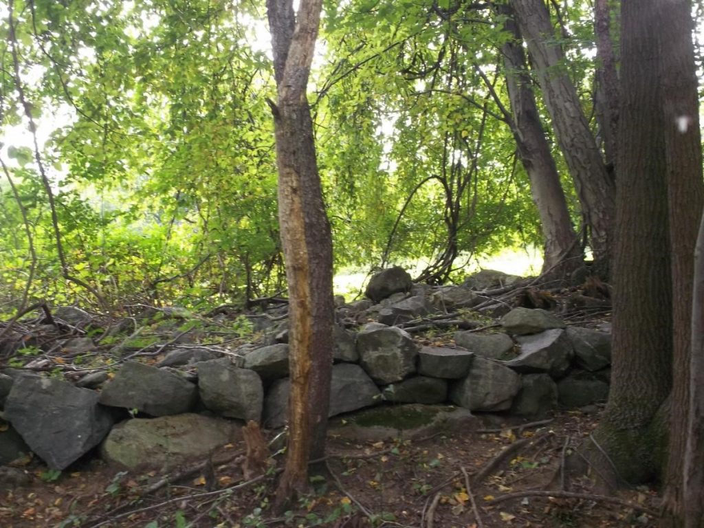 The Understory: My Place is the Oley Hills