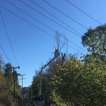 Met-Ed Tree-Trimming Program Underway to Enhance Service Reliability