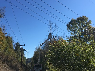Met-Ed Tree-Trimming Program Underway to Enhance Service Reliability