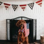 4th of July Safety Tips For You And Your Pet!