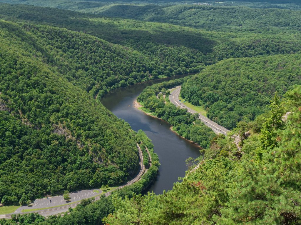 State Foresters’ Group Celebrates 100-Plus Years in PA