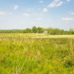 Berks Nature Protects 94-Acre Farm in Union Township, Berks County