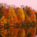 PA’s Warm Fall, Rainy Summer Might Be Impacting Autumn Foliage