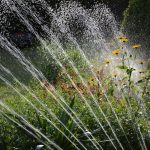 Water Webinar Series: The Effects of Water Quality on Gardening and Irrigation