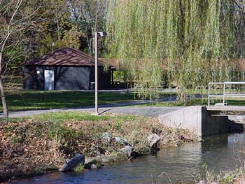 Master Watershed Stewards to Unveil Live Stake Nursery at Cacoosing Park