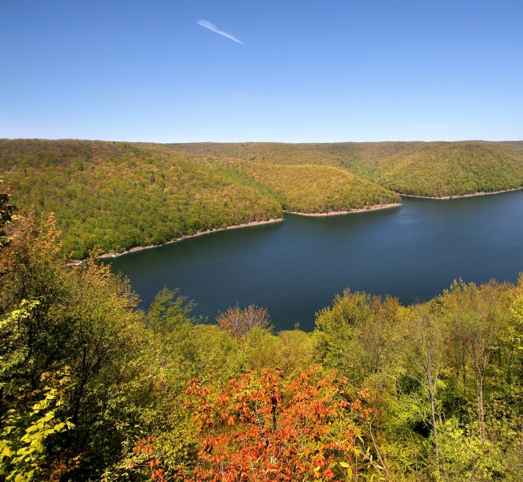 DCNR Announces Move to Modernize Camping Reservation System for State Forest Campsites