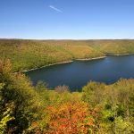 Group Petitions Allegheny National Forest to Ban Bikes on Non-Motorized Trails