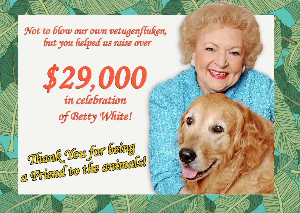 Animal Rescue League Receive Over $28K Thanks to Betty White Challenge