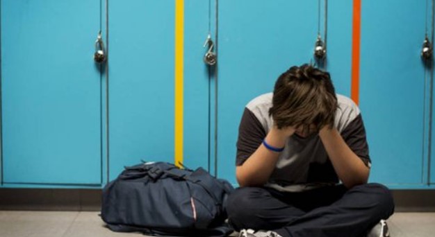 Berks Alliance Announces Spotlight on the Camel Project