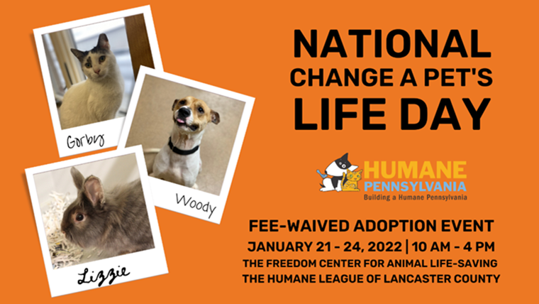 Humane PA Celebrates Change A Pet’s Life Day With Fee-Waived Adoption Event
