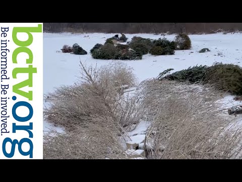 Recycling Christmas Trees and Snow Geese 2-28-22
