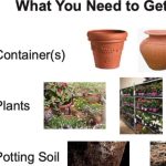 Container Gardens 3-3-22