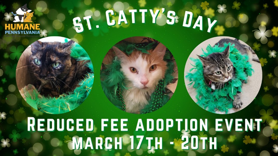 Humane Pennsylvania Celebrates St. Catty’s Day With Adoption Event