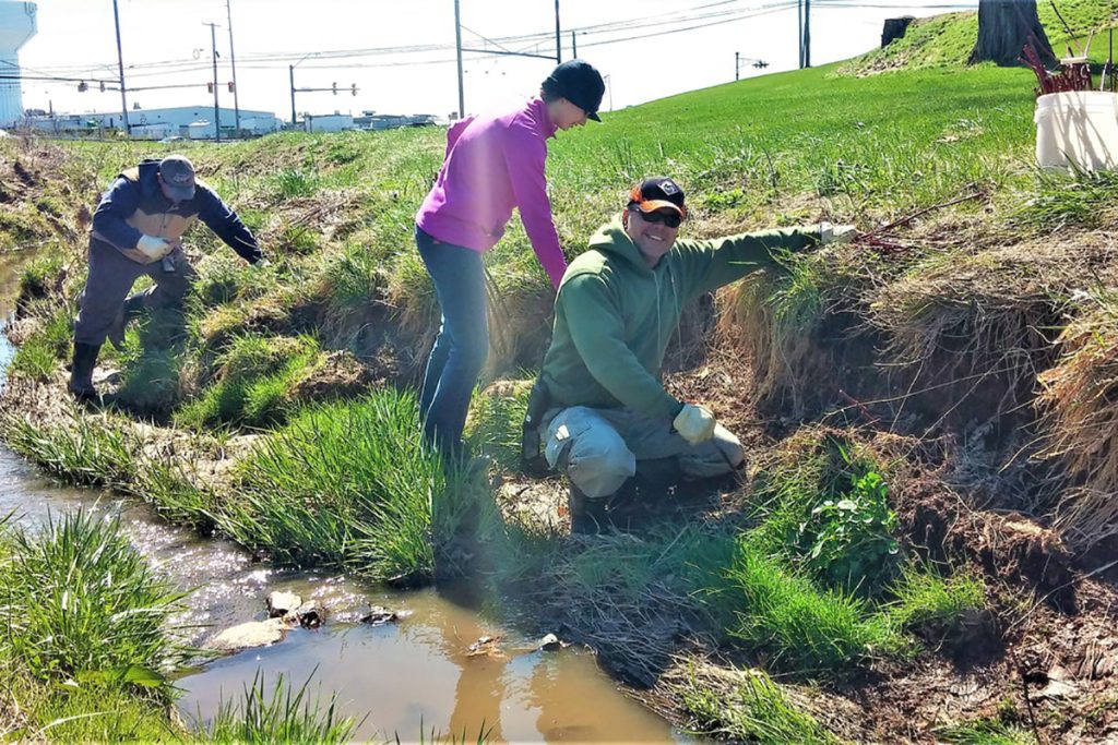 Live Staking for Streambank Repair