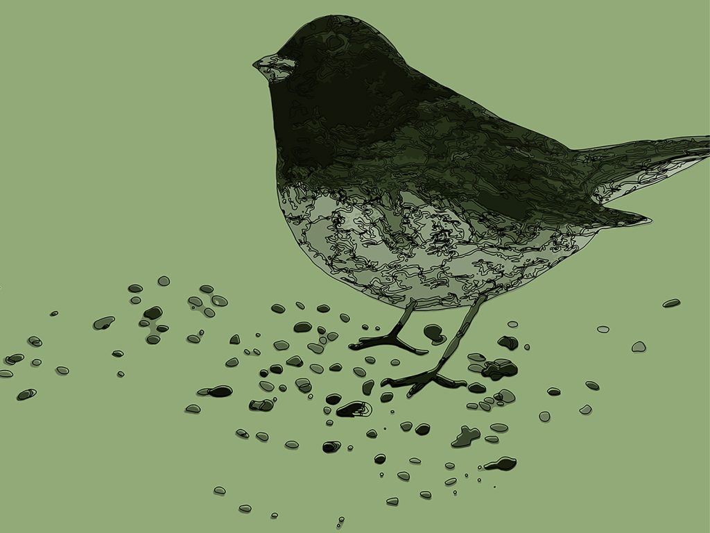 Freyberger Gallery Presents Bird Call: Studies & Actions in Biodiversity