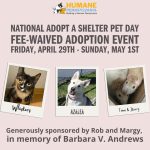Adopt An Animal In Need On National Adopt A Shelter Pet Day