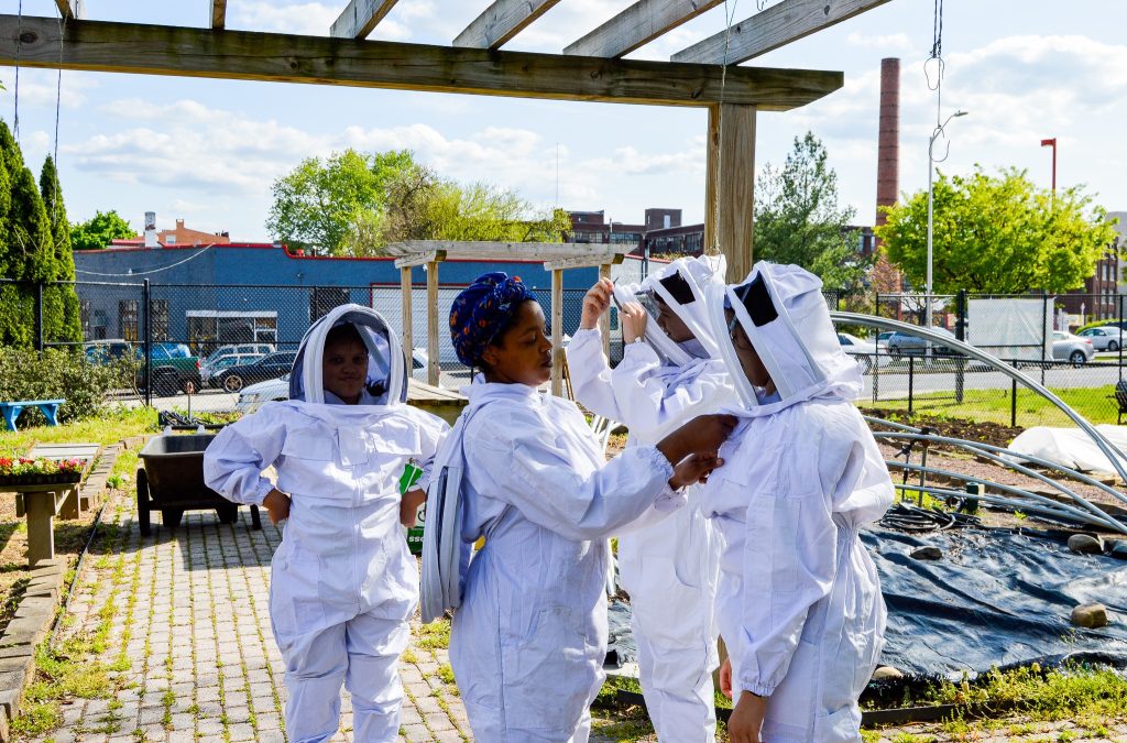 GoggleWorks and Lauer’s Park Offer “Sweet Relief” Through Beekeeping