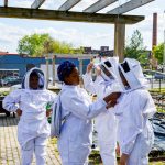 GoggleWorks and Lauer’s Park Offer “Sweet Relief” Through Beekeeping