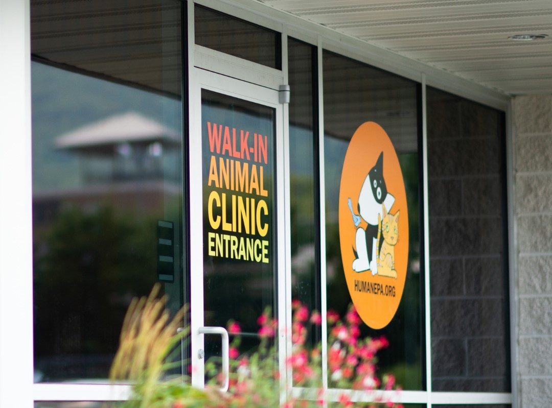 Humane PA Walk-In Clinic Now Open - BCTV