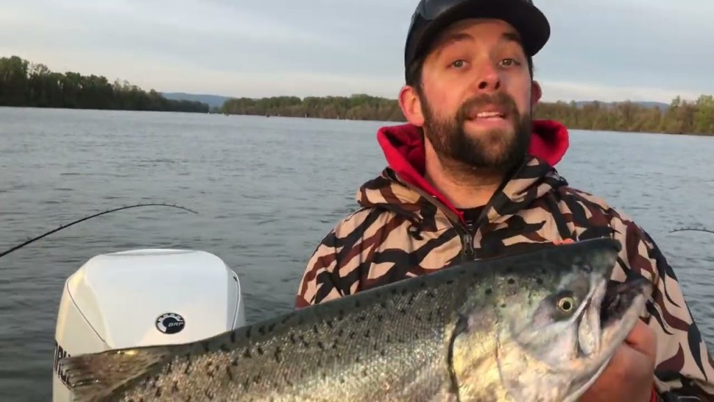 RAPTR Adventures: Episode 6 – Chinook Salmon on the Willamette River, Oregon