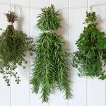 Home Food Preservation: Drying Foods