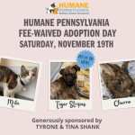 Humane Pennsylvania Hosts A One-Day, Fee-Waived Adoption Event