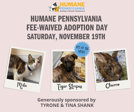 Humane Pennsylvania Hosts A One-Day, Fee-Waived Adoption Event