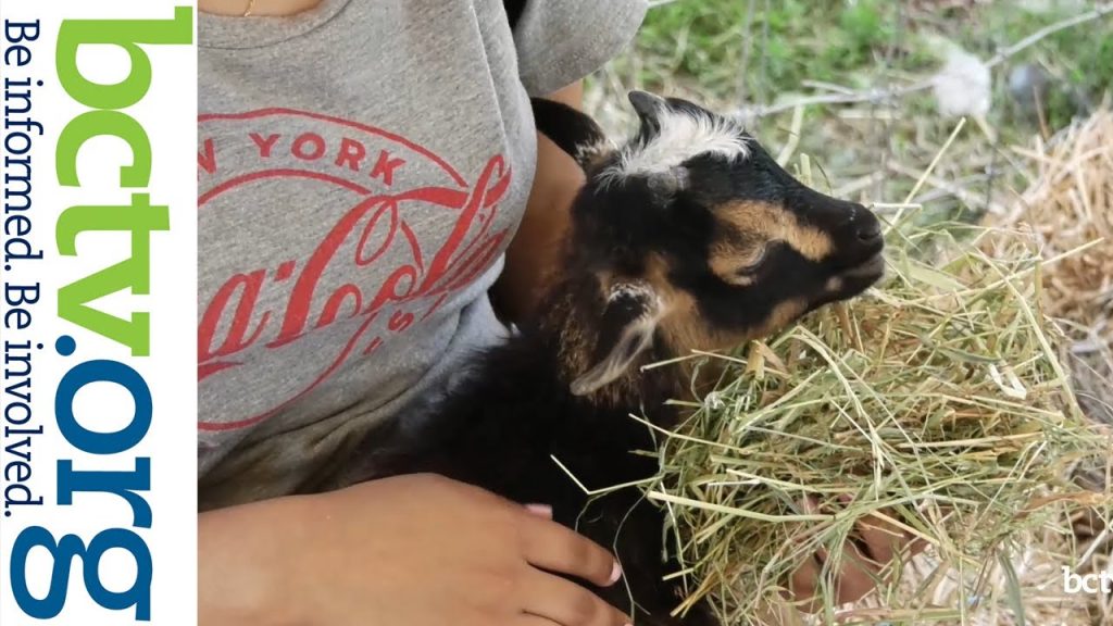 2022 Kutztown Folk Festival & A Look At 2023 1-18-22