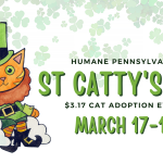 Humane Pennsylvania Celebrates St. Catty’s Day With Special Reduced Fee Adoption Event