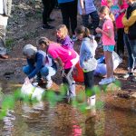 Twin Valley Students Release Fingerlings for Trout in the Classroom Program