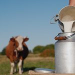 Grant Money Geared to ‘Keep Milk Local’ in Pennsylvania