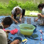 Restoring Freshwater Mussels to Improve Delaware River