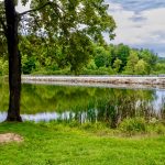 Court Opts to Protect Private-Property Rights Over Wetlands