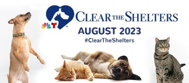 Humane PA to Host Fee-Waived Adoption Weekend for “Clear the Shelters” Event