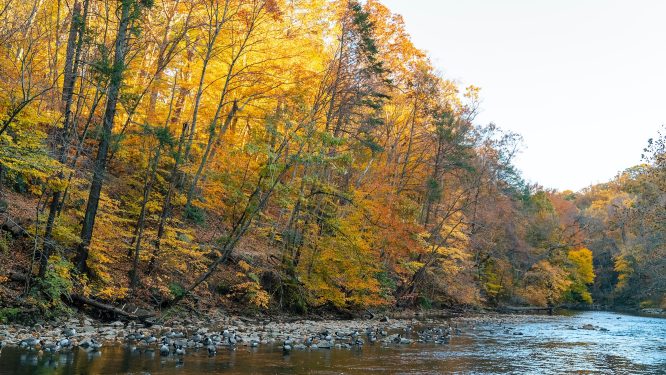 Pennsylvania Experts Offer Fall Foliage Tips for Residents and Travelers