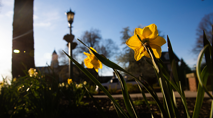 College and University Partnership Paves New Path for Students