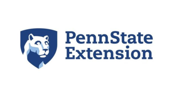 Penn State Extension to Host Virtual Workshop “Kinship Family Forum: Branch Out with Thrive”