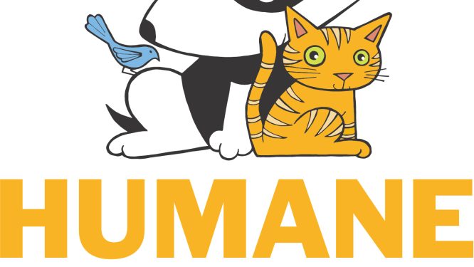 Humane Pennsylvania to Waive Senior Shelter Pet Adoption Fees for National Adopt A Senior Pet Month