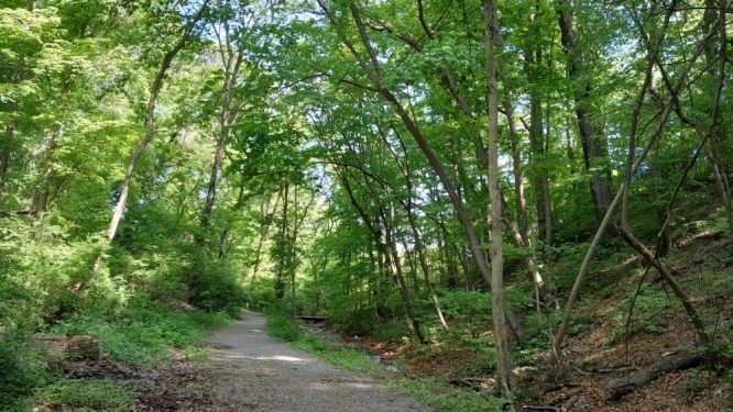 DCNR Accepting Nominations for 2024 Pennsylvania Trail of the Year