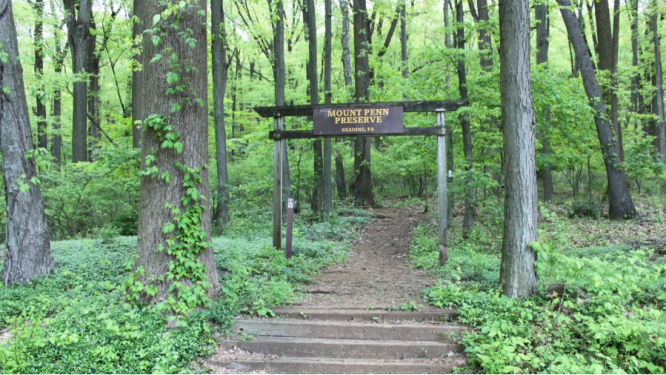 Mount Penn Preserve Forest Stewardship and Trails Plan