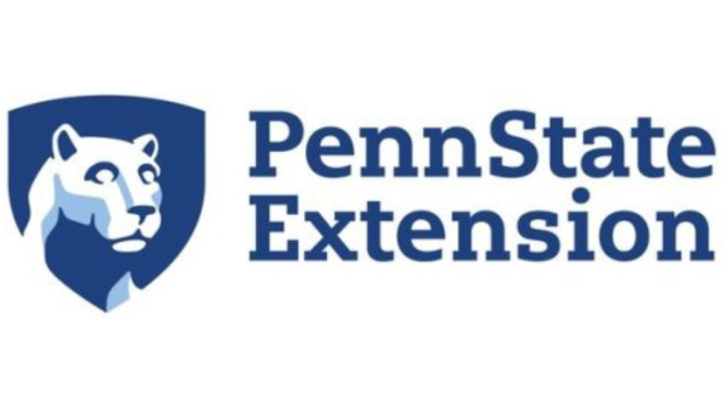 Penn State Extension to Offer Agrivoltaics and Large-Scale Solar Webinar