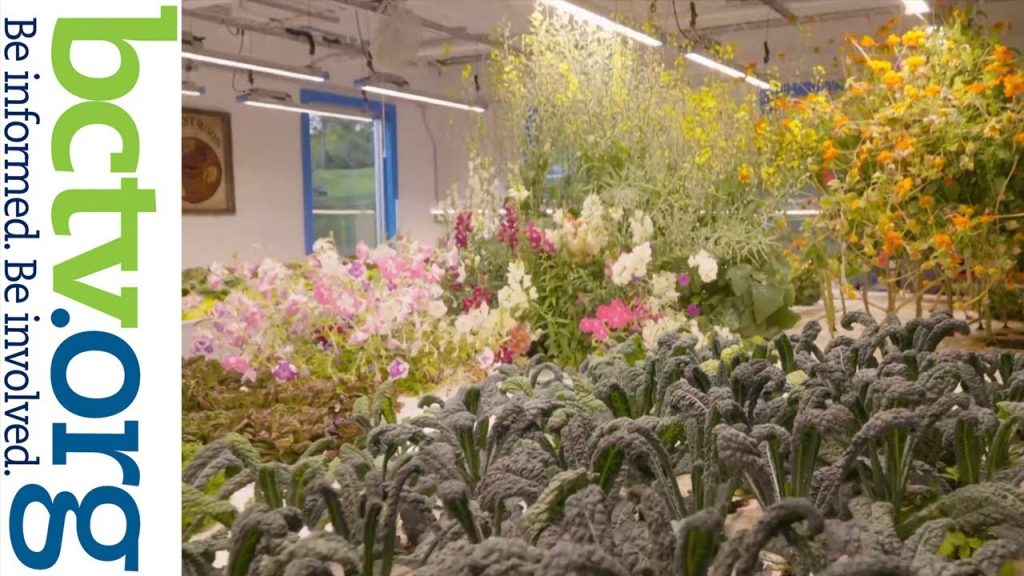 Harvest Moon Aquaponic Farm at Masano AutoPark in Reading, PA | Our City, Our World