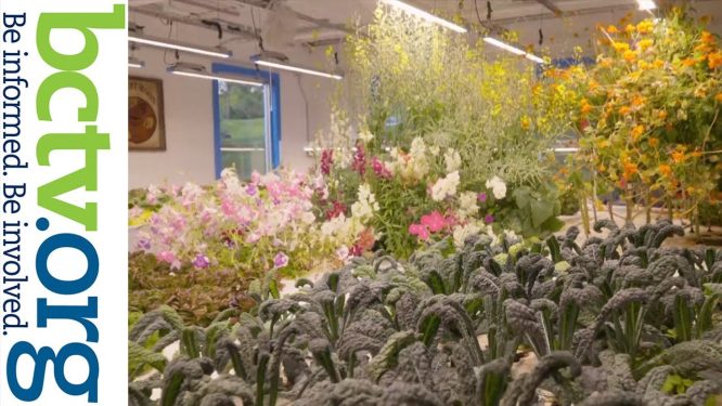 Harvest Moon Aquaponic Farm at Masano AutoPark in Reading, PA | Our City, Our World