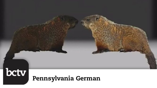Groundhog Day & Weather Lore | Pennsylvania German