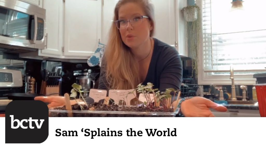 Sam Plantz Starting Indoor Vegetable and Herbs from Seeds Using Recycled ...